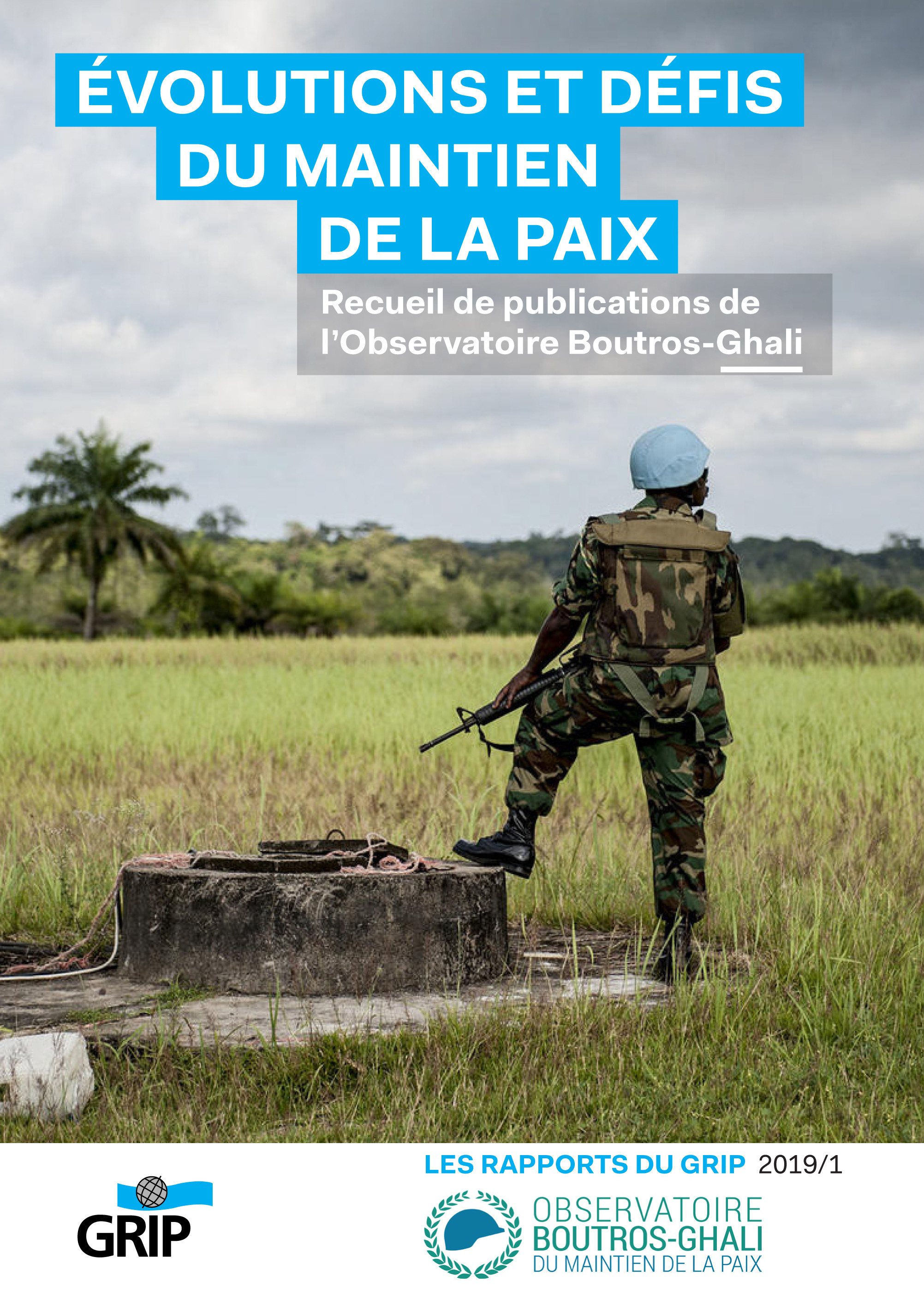 ebook cover of ÉVOLUTIONS ET DÉFIS DU MAINTIEN DE LA PAIX, by Dr Axel Aug Dr Elena Aoun