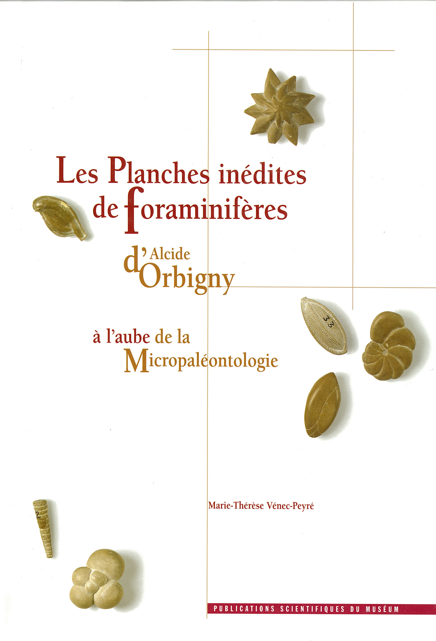 Couverture ebook de Les Planches inédites de Foraminifères d´Alcide d'Orbigny, de Collectif