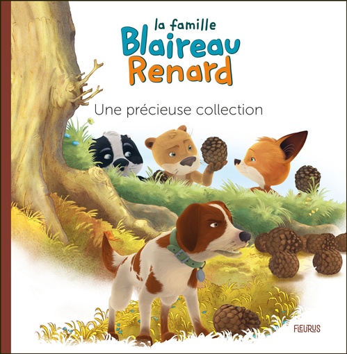 ebook cover of Une précieuse collection, by Emmanuelle Kécir-Lepetit, Brigitte Luciani, Eve Tharlet