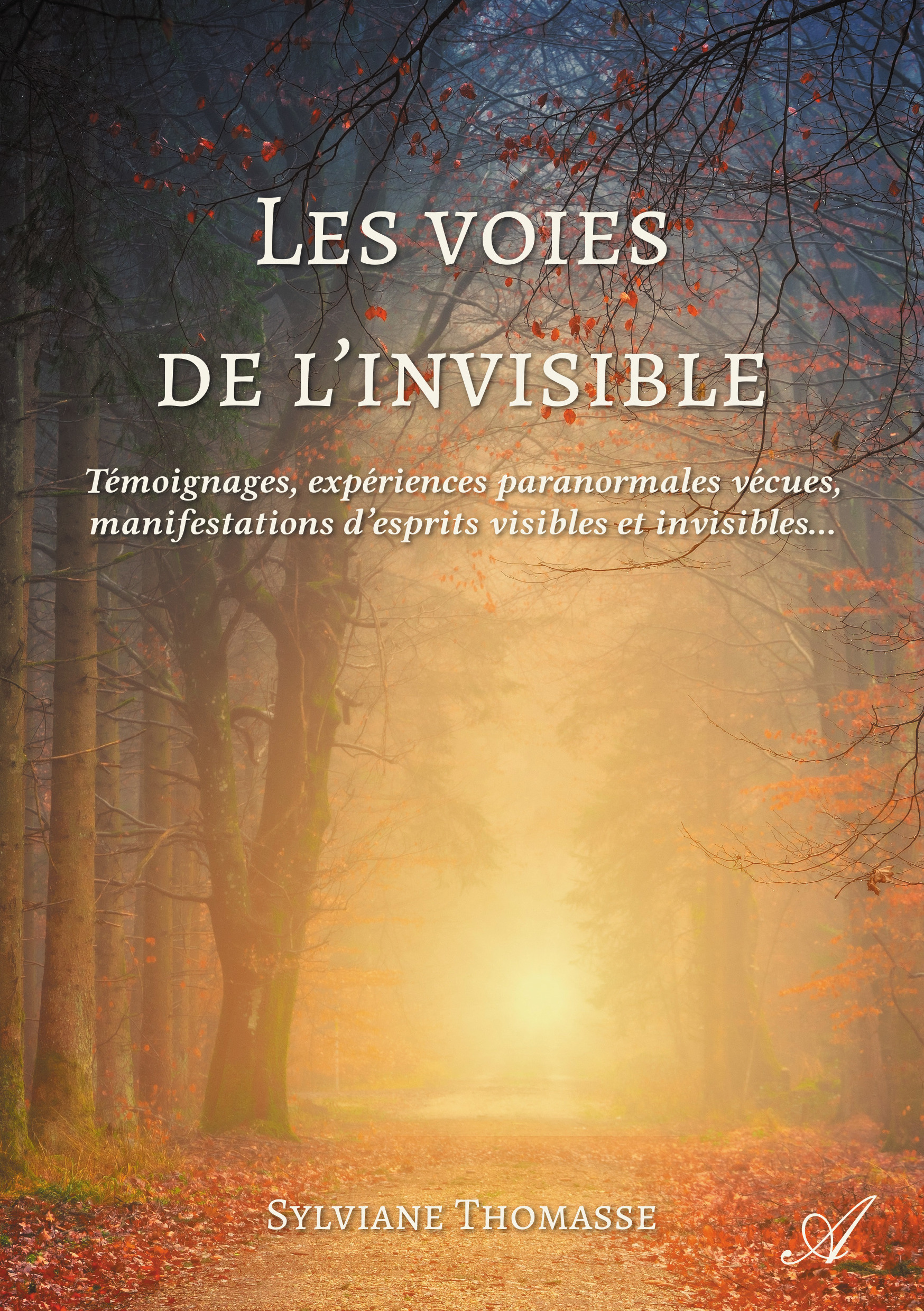 ebook cover of Les voies de l'invisible, by Sylviane Thomasse