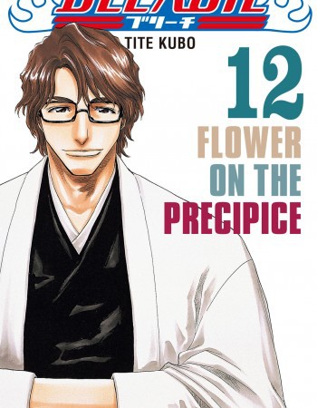ebook cover of Bleach - Tome 12, by Tite Kubo