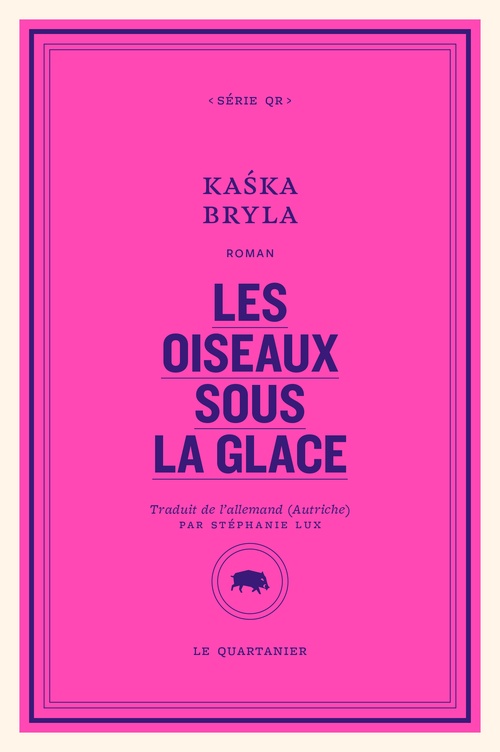 ebook cover of Les oiseaux sous la glace, by Ka´ska Bryla