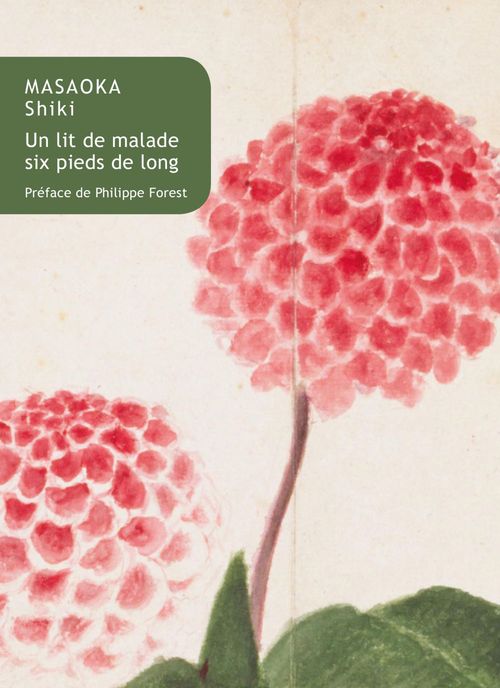ebook cover of Un lit de malade six pieds de long, by Shiki Masaoka