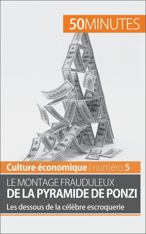 Couverture ebook de Le montage frauduleux de la pyramide de Ponzi, de Ariane De Saeger