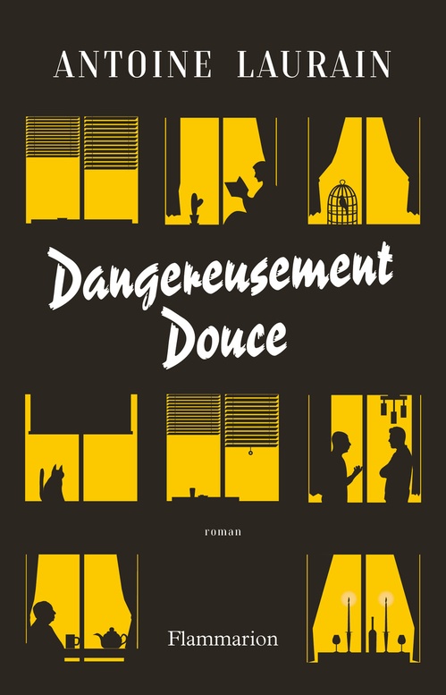 ebook cover of Dangereusement Douce, by Antoine Laurain