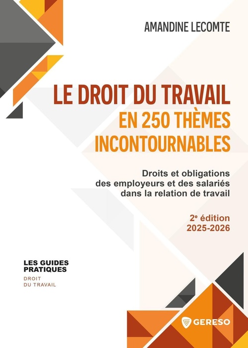 Couverture ebook de Le droit du travail en 250 thèmes incontournables, de Amandine Lecomte
