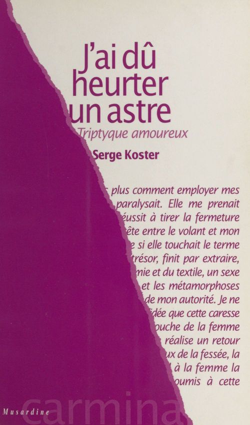 Couverture ebook de J'ai dû heurter un astre : triptyque amoureux, de Serge Koster