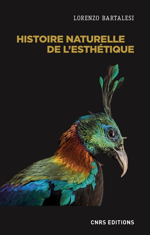 Couverture ebook de Histoire naturelle de l'esthétique, de Lorenzo Bartalesi