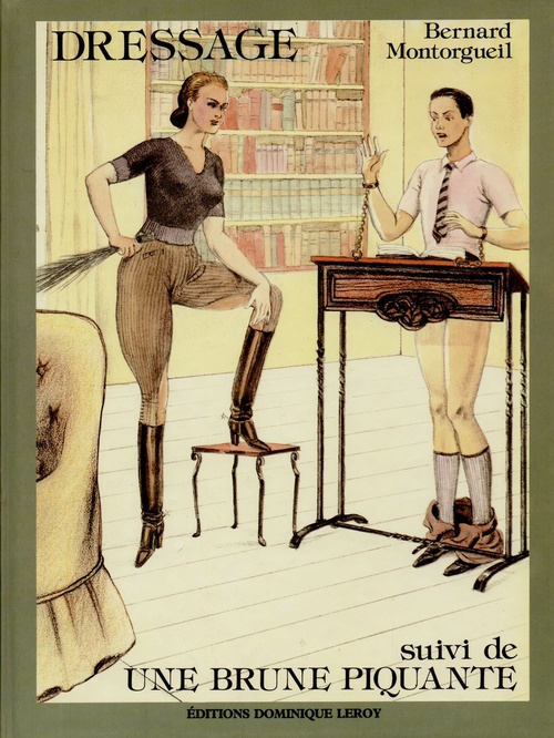 ebook cover of Dressage suivi de Une brune piquante, by Bernard Montorgueil