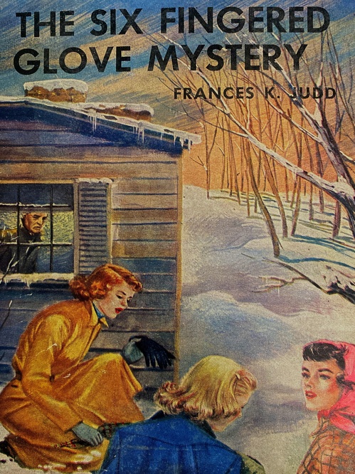 Couverture ebook de The Six Fingered Glove Mystery, de Frances K. Judd