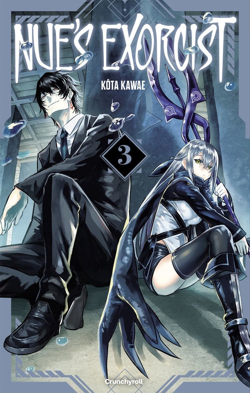 ebook cover of Nue's Exorcist T03, by Kota Kawae
