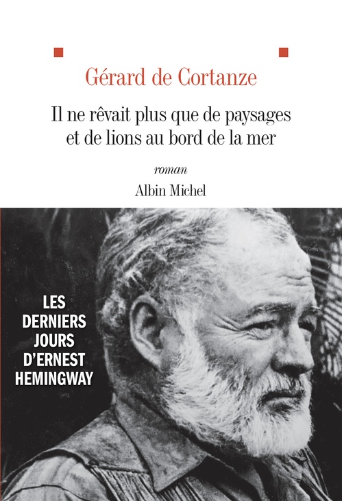 ebook cover of Il ne rêvait plus que de paysages et de lions au bord de la mer, by Gérard de Cortanze