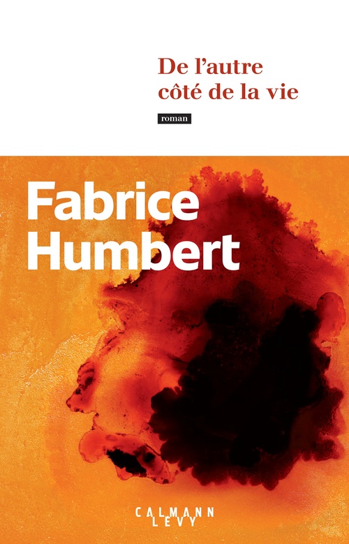 ebook cover of De l'autre côté de la vie, by Fabrice Humbert