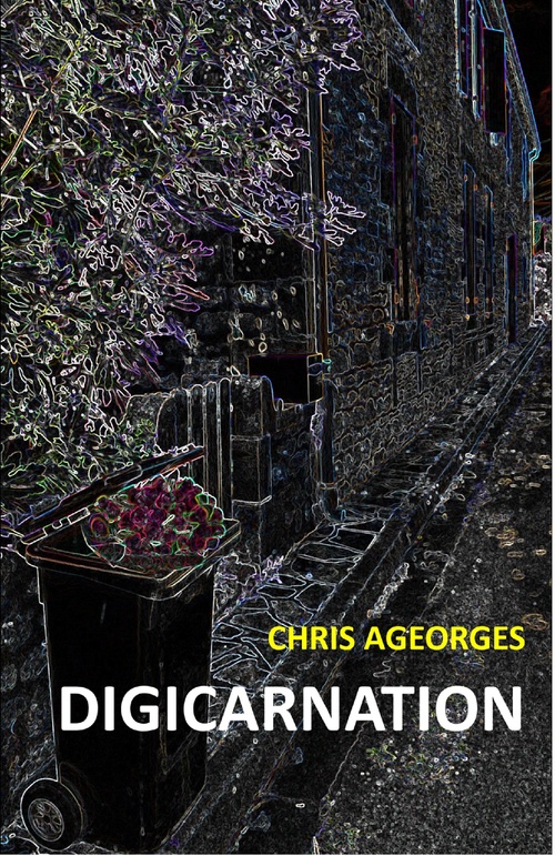 ebook cover of Digicarnation, by Chris Ageorges