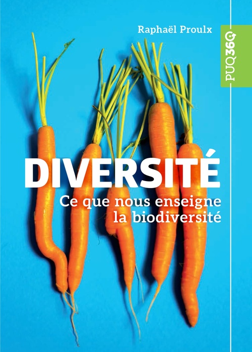 Couverture ebook de Diversité, de Raphaël Proulx