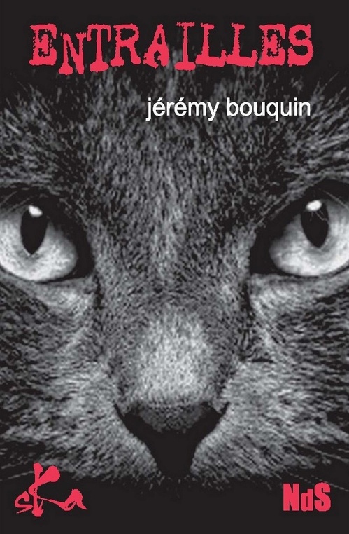 Couverture ebook de Entrailles, de Jérémy Bouquin