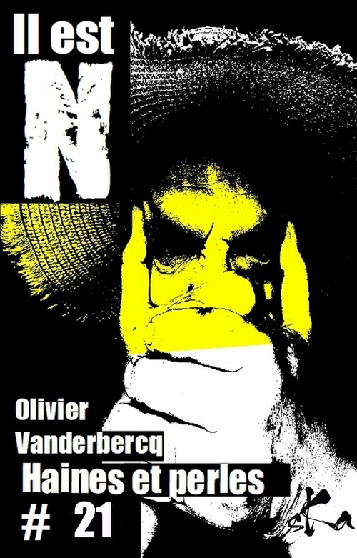 ebook cover of Haines et Perles # 21, by Olivier Vanderbecq