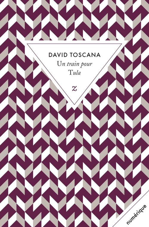 Couverture ebook de Un train pour Tula, de David Toscana