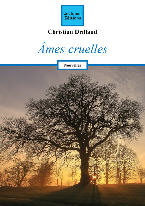 Couverture ebook de Ames cruelles, de Christian Drillaud