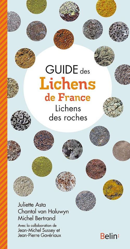 ebook cover of Guide des lichens de France - Lichens des roches, by Juliette Asta, Michel Bertrand, Jean-Pierre Gaveriaux, Jean-Michel Sussey, Chantal Van Haluwyn