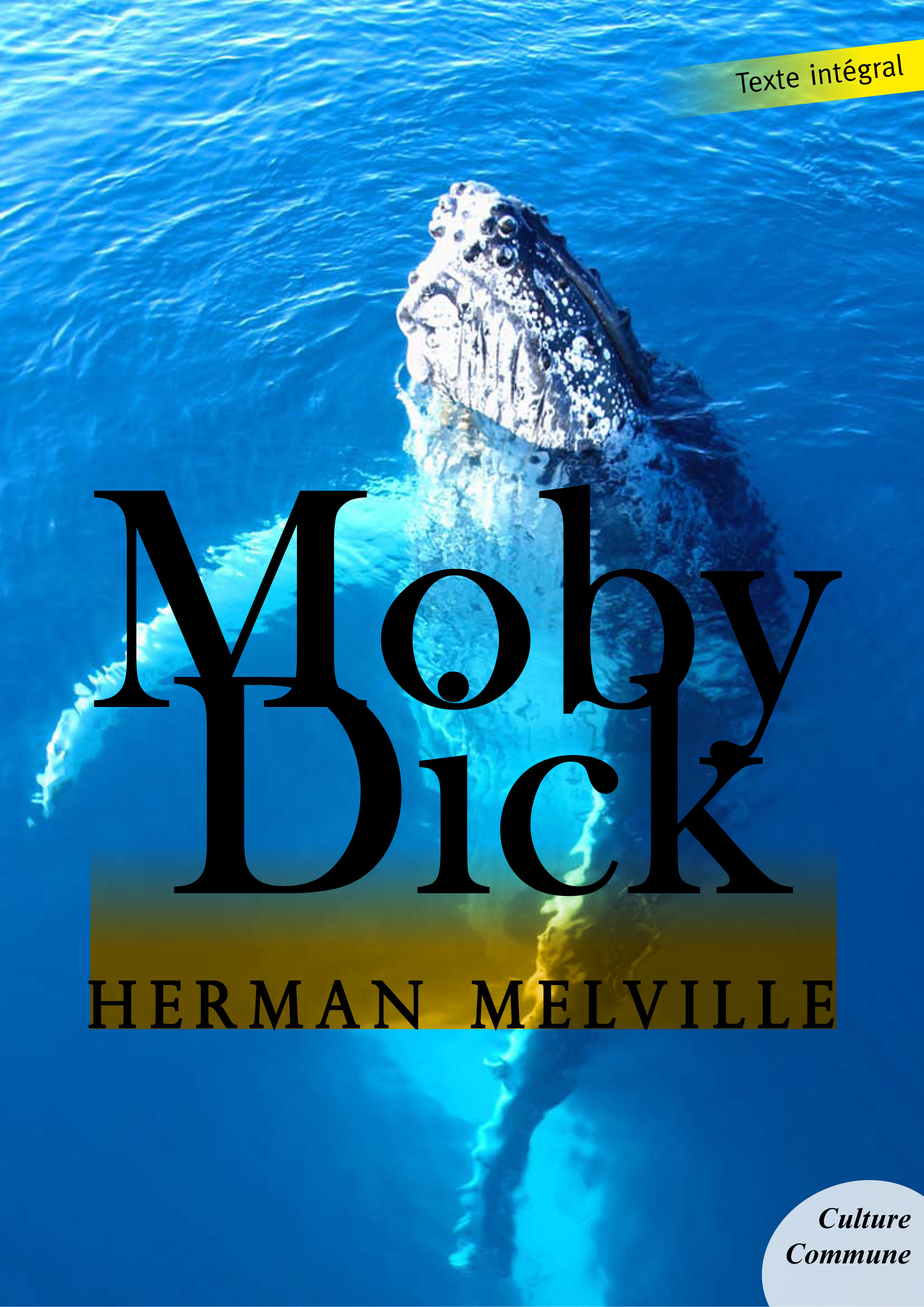 ebook cover of Moby Dick, by Herman Melville