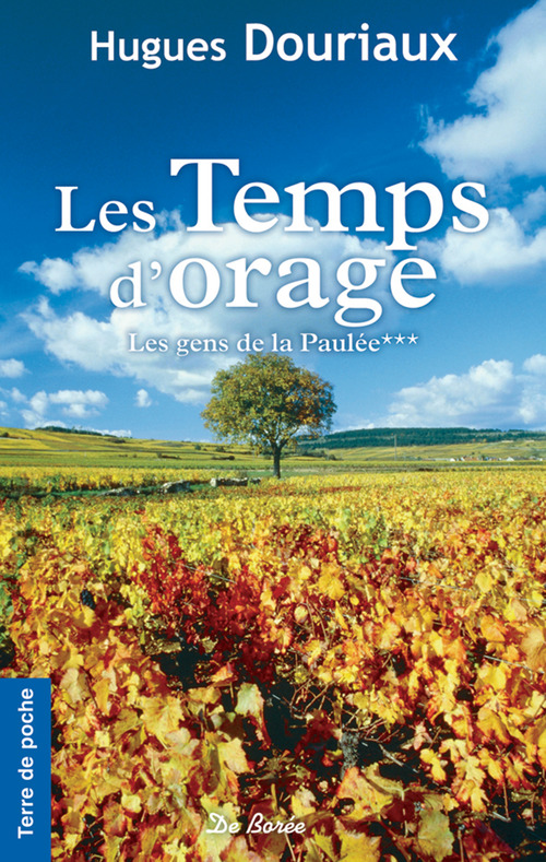ebook cover of Les Temps d'orage, by Hugues Douriaux