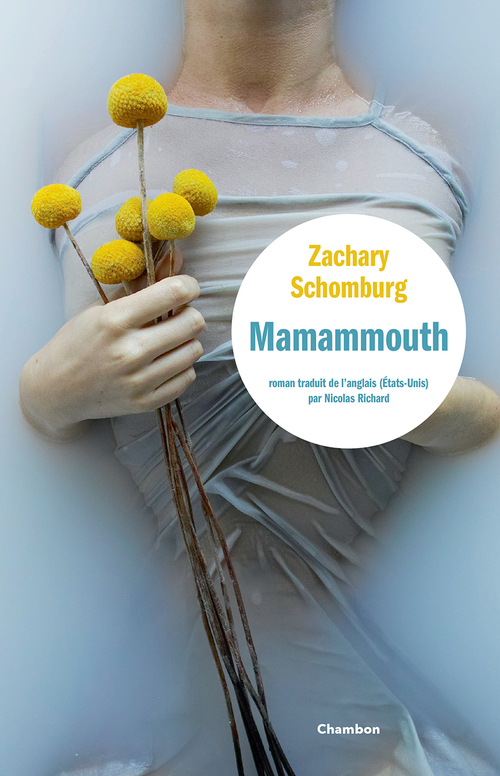 ebook cover of Mamammouth, by Zachary Schomburg