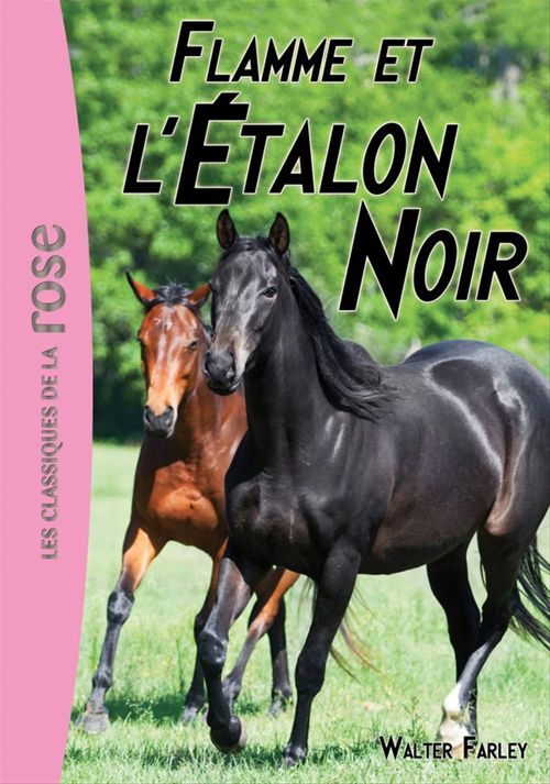 ebook cover of L'Étalon Noir 17 - Flamme et l'Étalon Noir, by Walter Farley