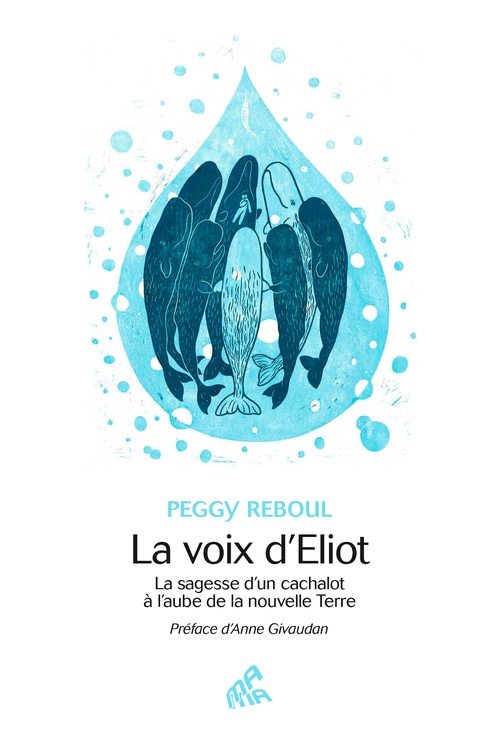 Couverture ebook de La voix d'Eliot, de Peggy Reboul