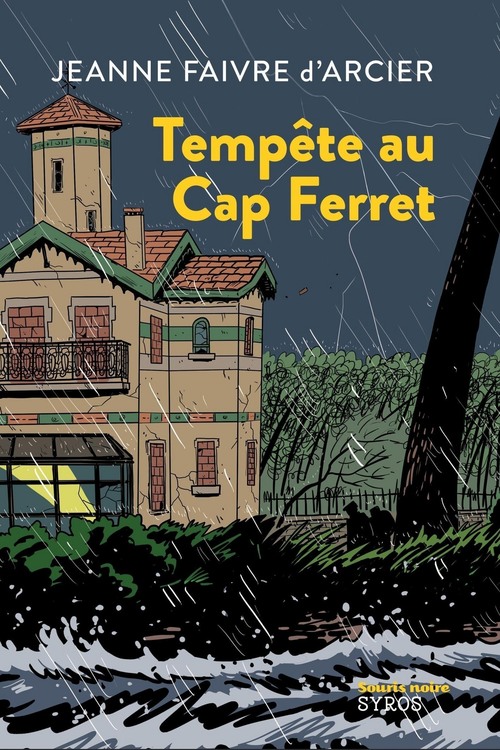 Couverture ebook de Tempête au Cap Ferret, de Natalie Beunat, Jeanne Faivre d'Arcier