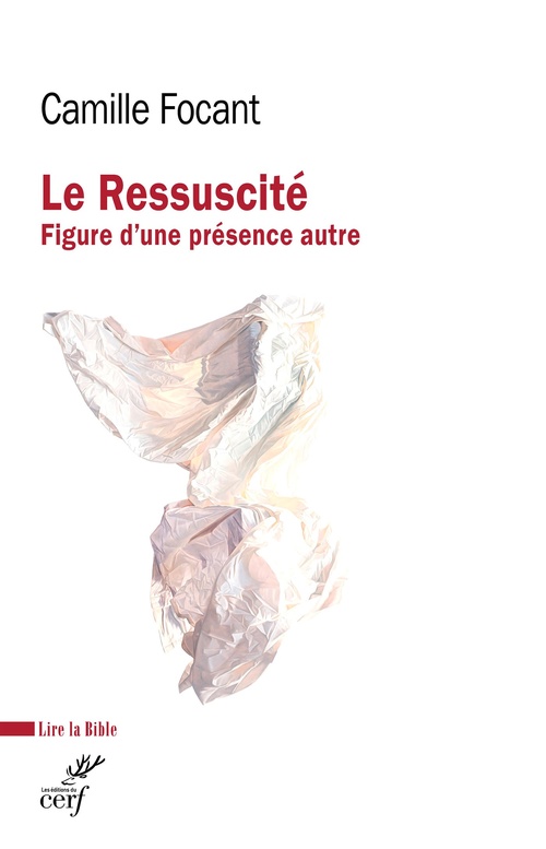 ebook cover of Le Ressuscité, by Camille Focant