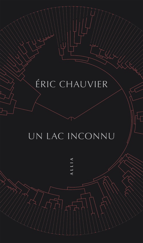 Couverture ebook de Un lac inconnu, de Eric Chauvier