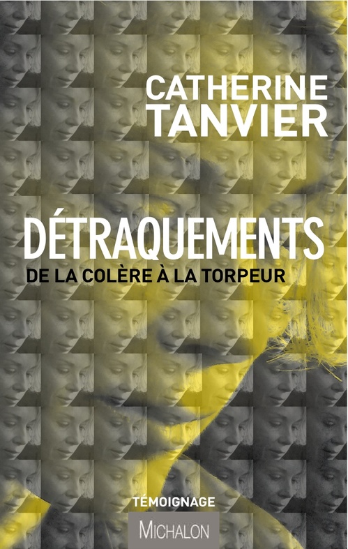 ebook cover of Détraquements, by Catherine Tanvier