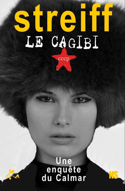 Couverture ebook de Le cagibi, de Gérard Streiff