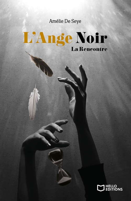Couverture ebook de L'Ange Noir - Tome I La Rencontre, de Amélie de Seye