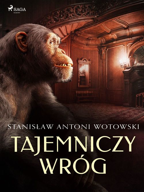 ebook cover of Tajemniczy wróg, by Stanislaw Wotowski