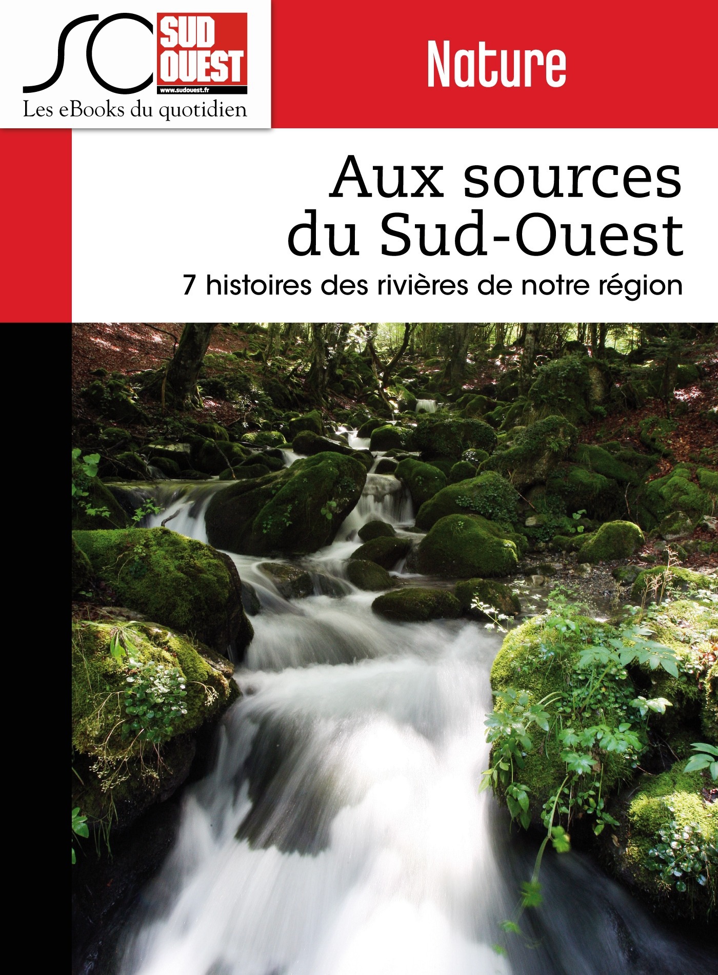 ebook cover of Aux sources du Sud-Ouest, by Pierre Tillinac