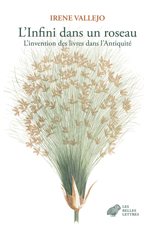 ebook cover of L´Infini dans un roseau, by Irene Vallejo