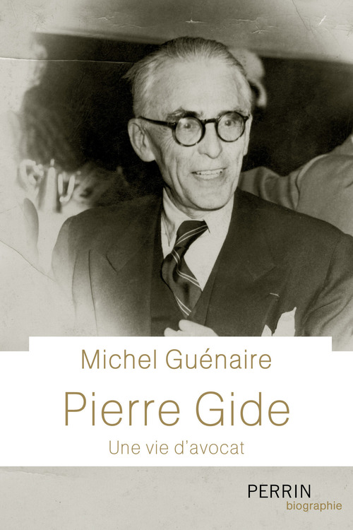 ebook cover of Pierre Gide - Une vie d'avocat, by Michel Guénaire