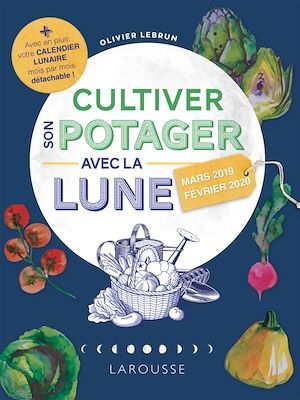 ebook cover of Cultiver son potager avec la Lune 2019, by Serge Schall