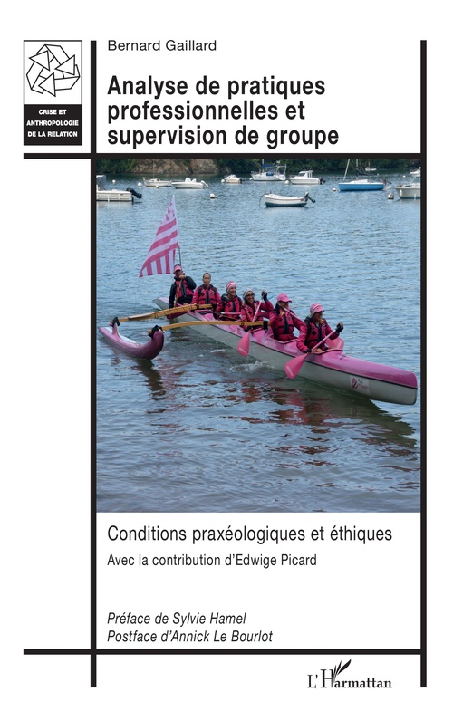 ebook cover of Analyse de pratiques professionnelles et supervision de groupe, by Bernard Gaillard, Edwige Picard
