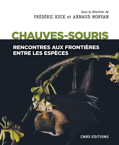 ebook cover of Chauves-souris - Rencontres aux frontières entre les espèces, by Collectif, Arnaud Morvan, Frédéric Keck