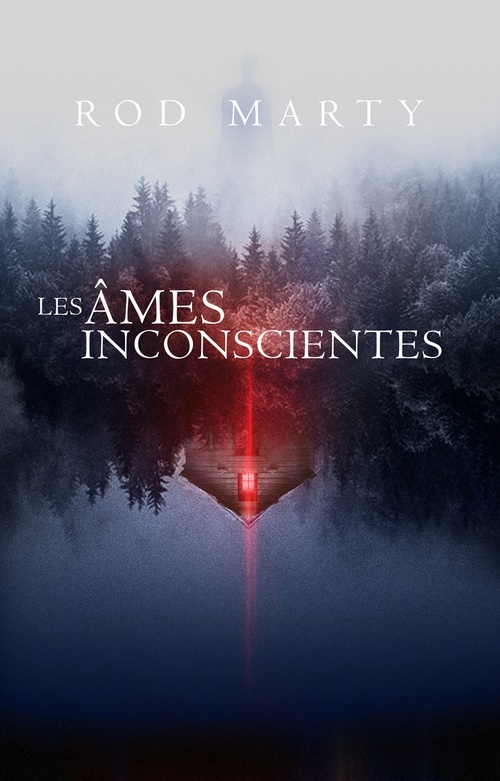 ebook cover of Les âmes inconscientes, by Rod Marty