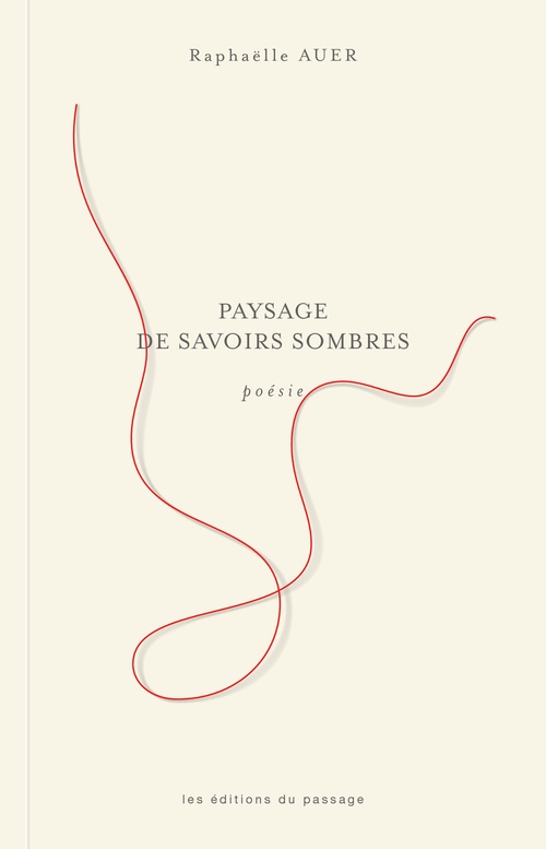 Couverture ebook de Paysage de savoirs sombres, de Raphaëlle Auer