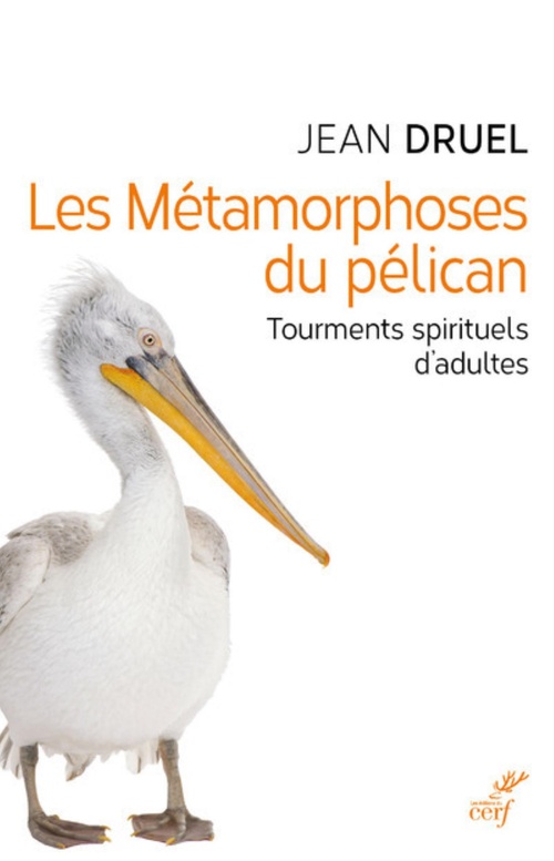 ebook cover of LES METAMORPHOSES DU PELICAN - TOURMENTS SPIRITUELS D'ADULTES, by Druel Jean