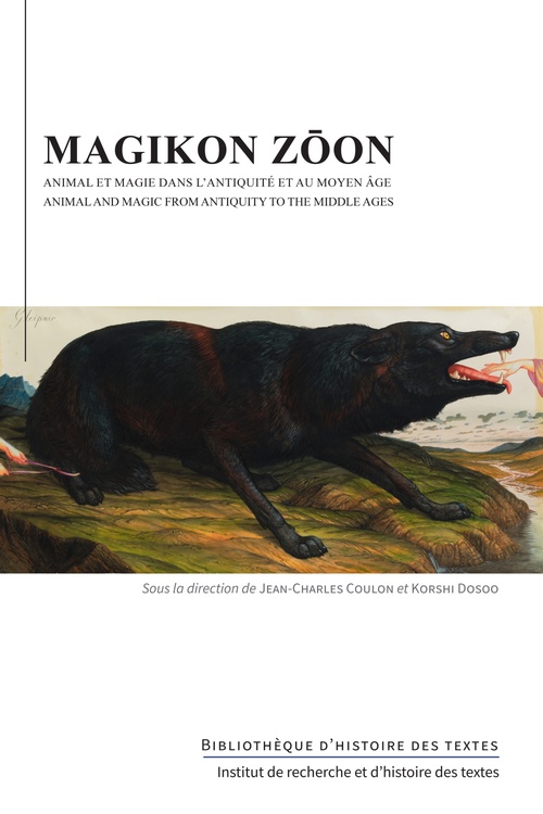 Couverture ebook de Magikon zoon, de