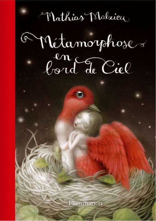 ebook cover of Métamorphose en bord de ciel - Edition de luxe, by Mathias Malzieu