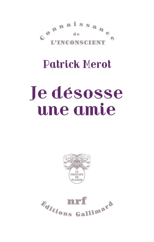 ebook cover of Je désosse une amie, by Patrick Merot
