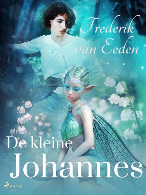 ebook cover of De kleine Johannes, by Frederik Van Eeden