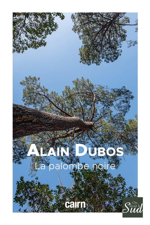 Couverture ebook de La Palombe noire, de Alain Dubos